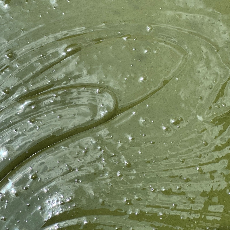 Close-up of Raw Sprouted Pumpkin Seed Butter with swirling patterns