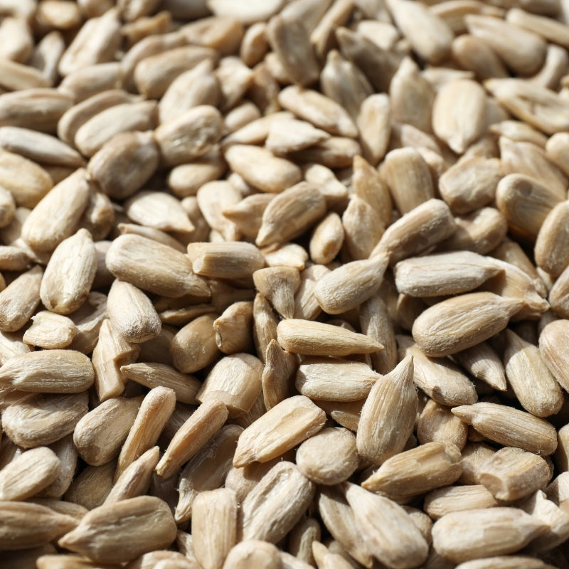 Close-up of a pile of sunflower seeds