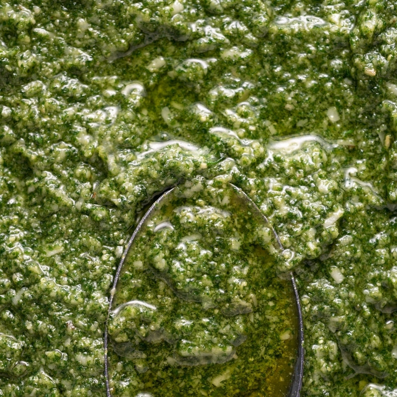 Close-up of Raw Sprouted Walnut Pesto