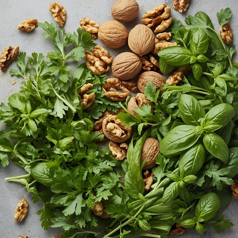 Walnuts and fresh green herbs on a gray surface