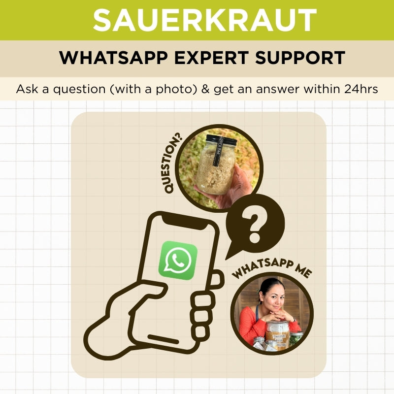 Sauerkraut Rookie Lifeline – 1-Month WhatsApp Coaching