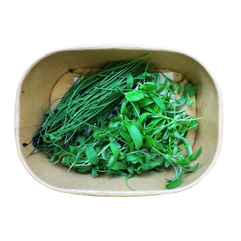 Savory Sprout Mix: Coriander & Chives (Pesticide Free) in a beige bowl on a white background