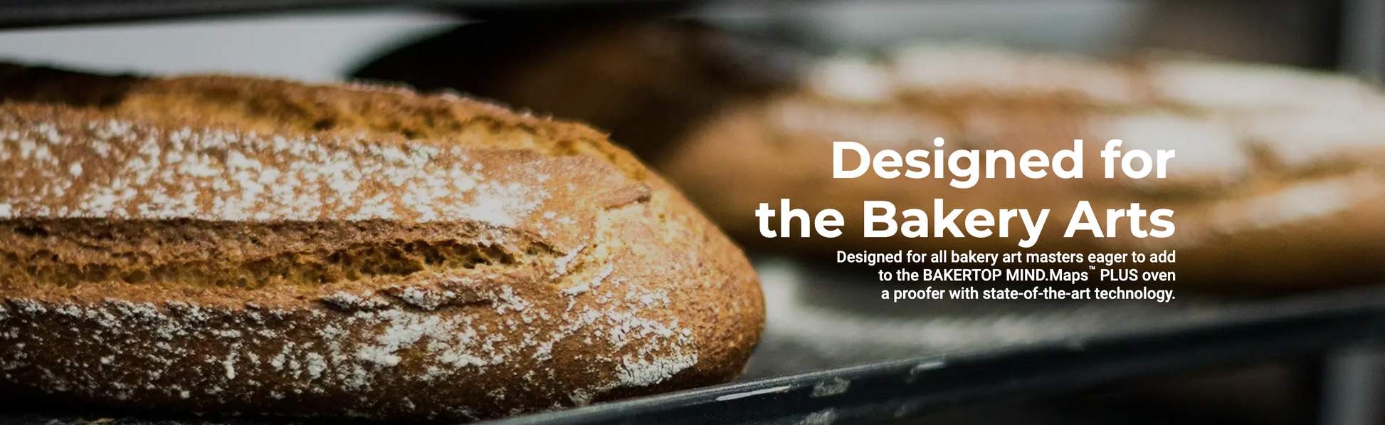 Loaves of bread with text 'Designed for the Bakery Arts' on a blurred background- UNOX-LIEVOX Proofers - XEKPT-08HS-C