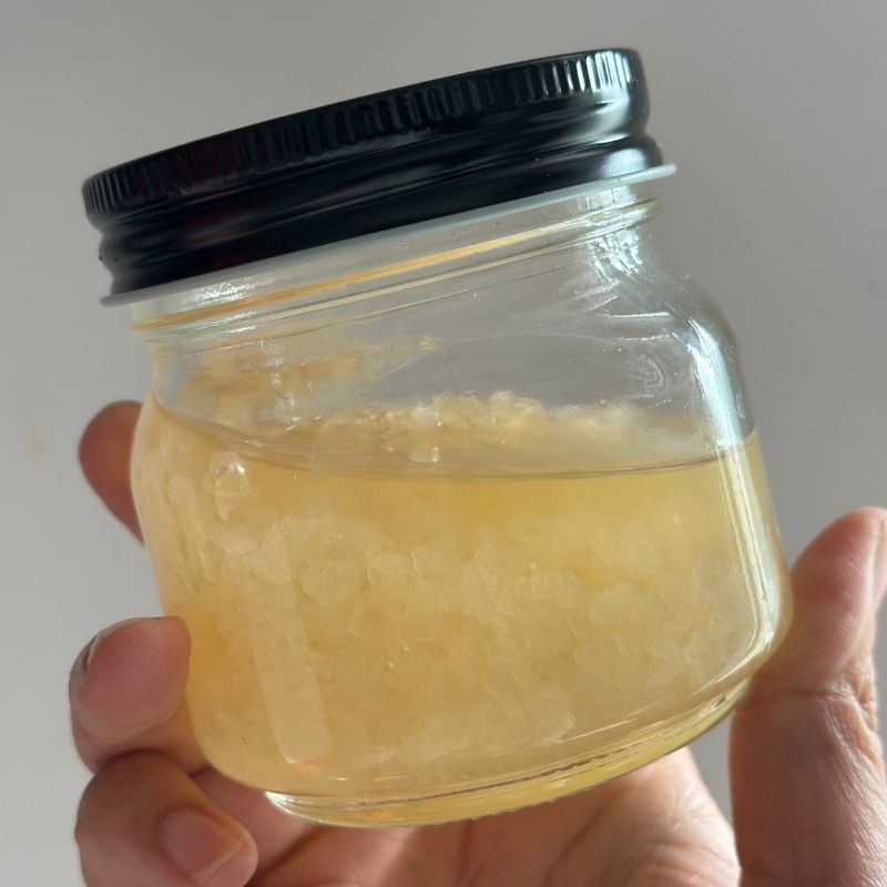 Water Kefir Grains - Water Kefir - FoodCraft Online Store 