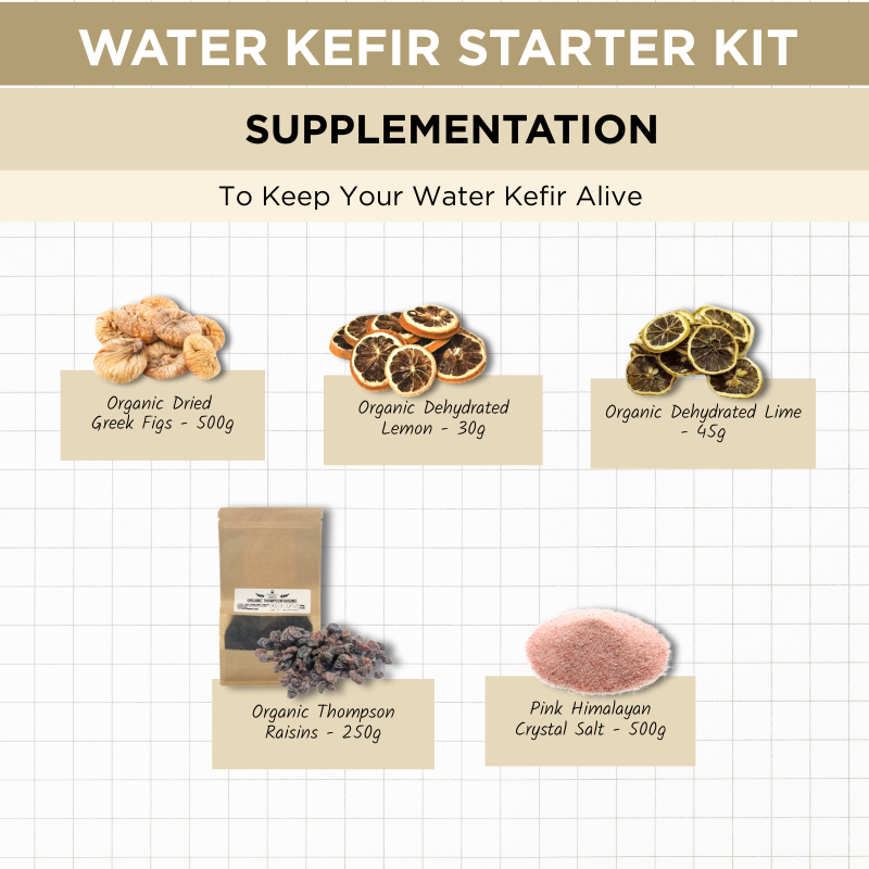 Water Kefir Starter Kit Supplementation Foodcraft Online Store
