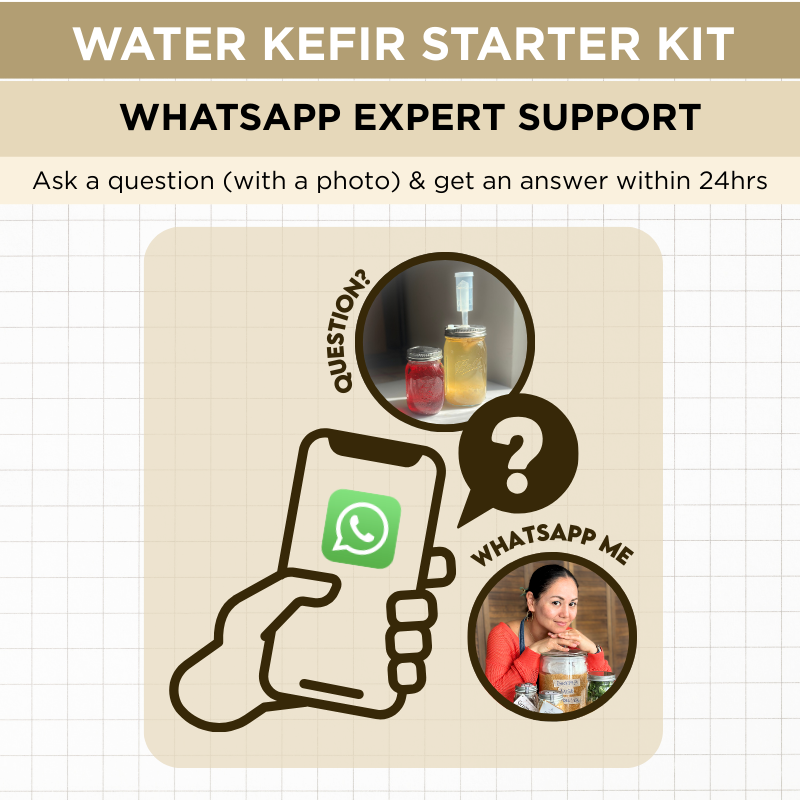 Water Kefir Rookie Lifeline – 1-Month WhatsApp Coaching