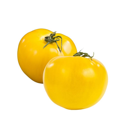 Yellow Tomatoes - Foodcraft Online Store