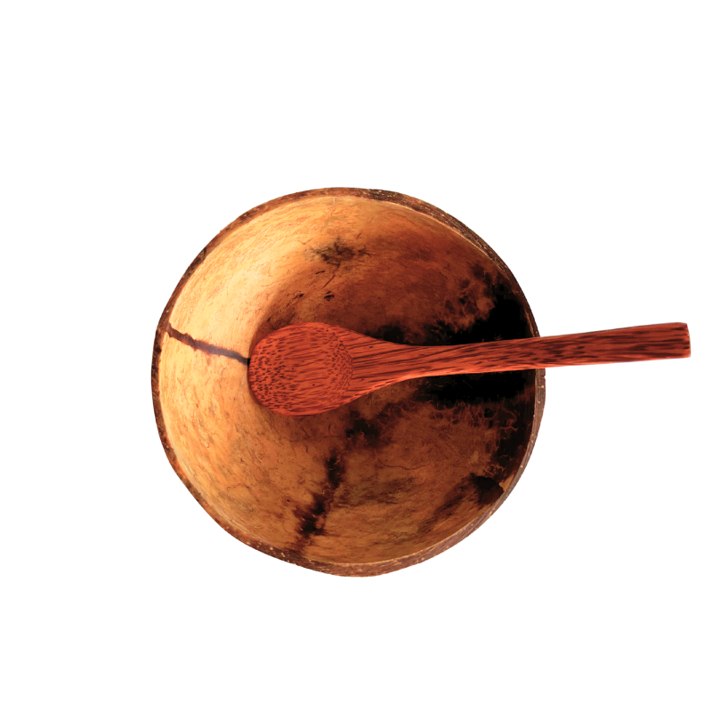 Coconut Shell Bowl with Wooden Spoon - Foodcraft Online Store