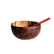 Coconut Shell Bowl with Wooden Spoon - Foodcraft Online Store