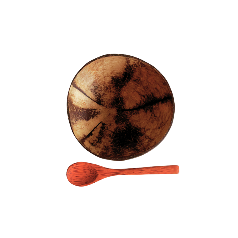 Coconut Shell Bowl with Wooden Spoon - Foodcraft Online Store