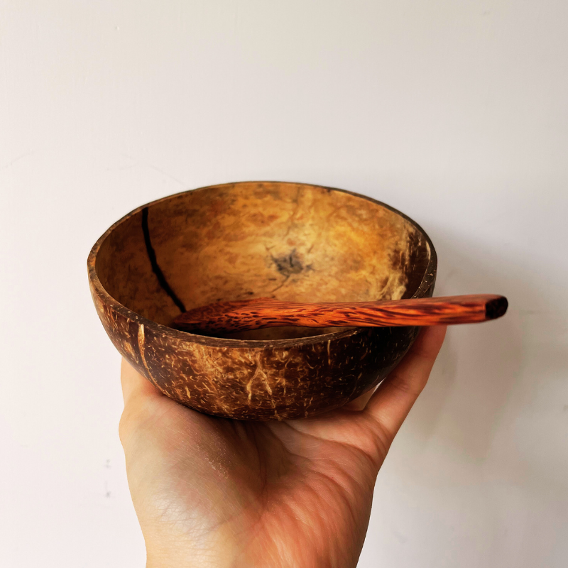 Coconut Shell Bowl with Wooden Spoon - Foodcraft Online Store