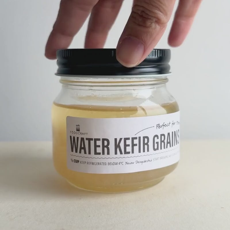 Water Kefir Grains - Water Kefir - FoodCraft Online Store 