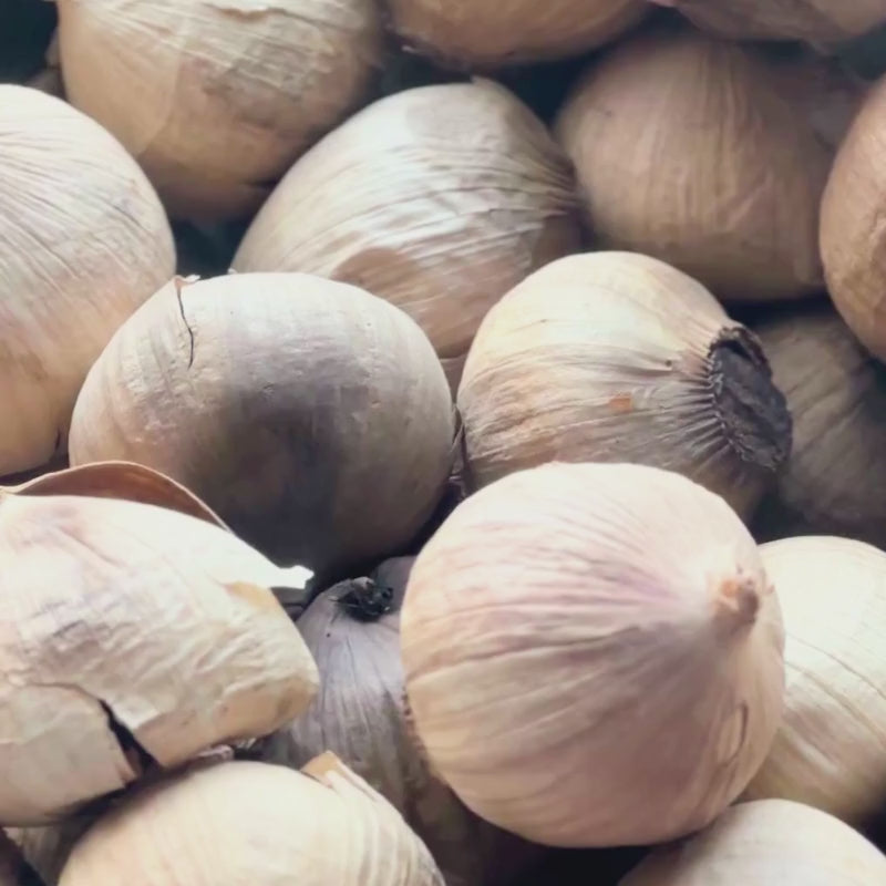 Load video: Video of Black garlic - 100g - Foodcraft Online Store