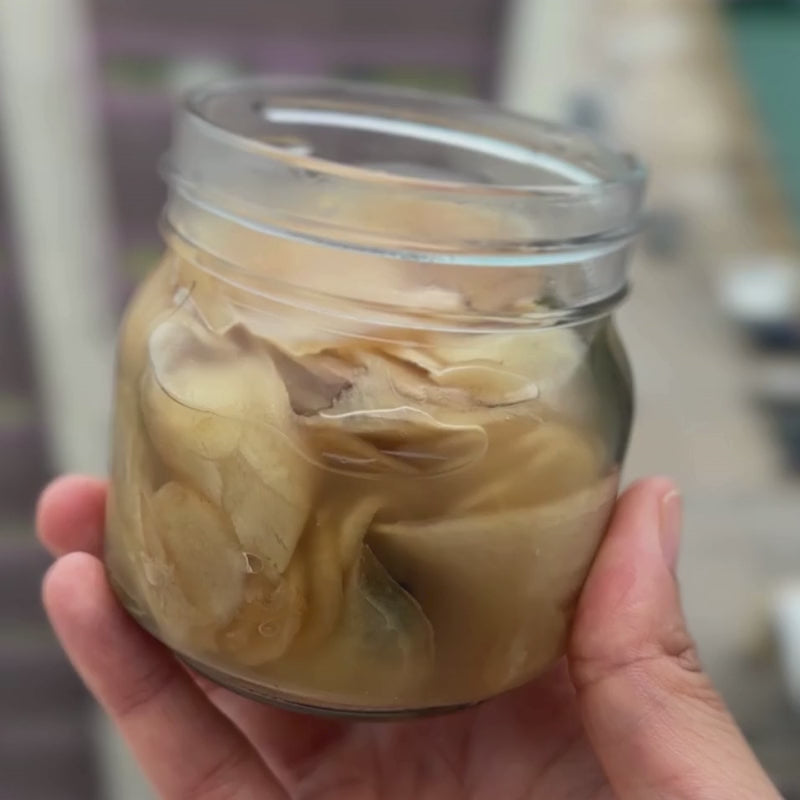 Load video: Video of Jar of Living Lacto-Fermented Japanese Sushi Ginger - 200g