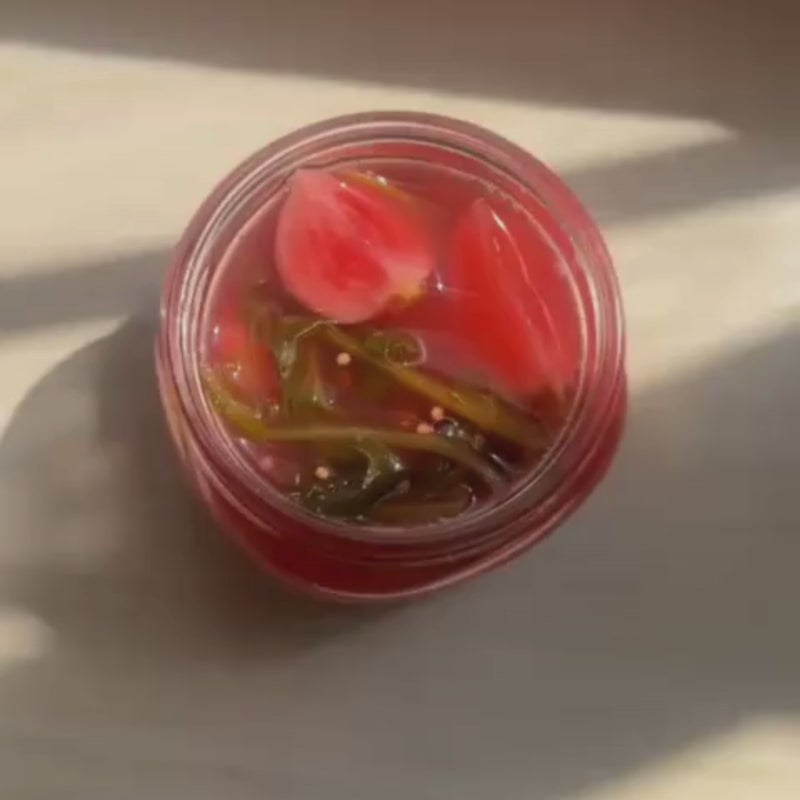Living Lacto-Fermented Radish with Mustard Seeds