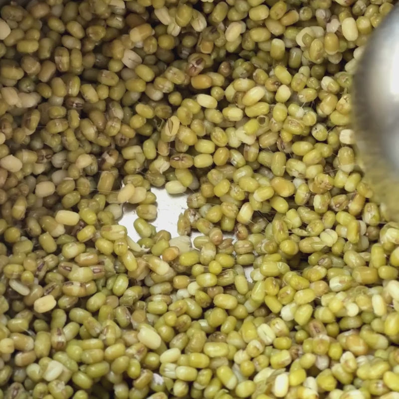 Load video: Organic Fermented Sprouted Mung Bean Natto - 100g
Foodcraft Online Store