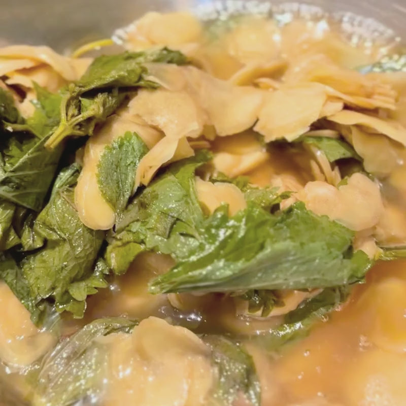 Fermenting in Action - Living Lacto-Fermented Japanese Sushi Ginger