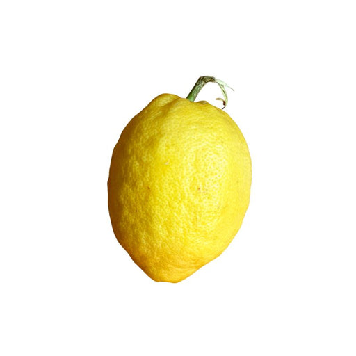 Amalfi Lemon - Foodcraft Online Store
