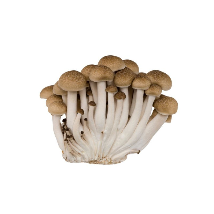 Brown Shimeji Mushrooms - 150g