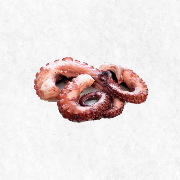 Sustainable Cooked Spanish Octopus Tentacle 2 Legs - 300-370G - FoodCraft Online Store 