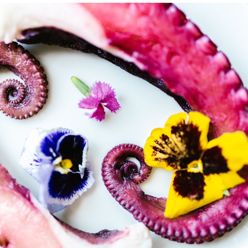 Edible Flowers Yellow Pansy - Foodcraft Online Store