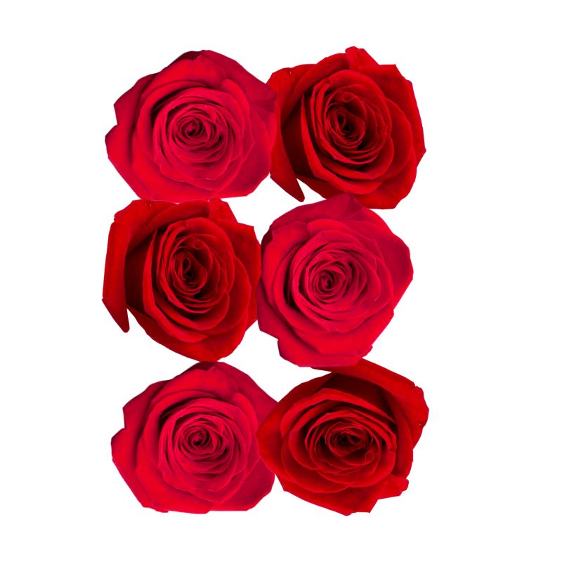 Edible Flowers (Rose) - 20g – FoodCraft Online Store