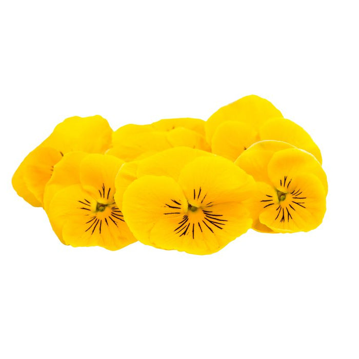 Edible Flowers Yellow Pansy - Foodcraft Online Store