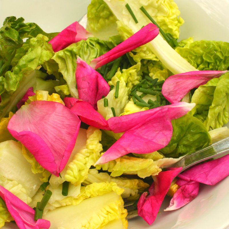 Edible Flowers (Rose) - 20g – FoodCraft Online Store