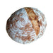 Gluten Free Soft Sourdough Bread with Walnuts - Foodcraft Online Store