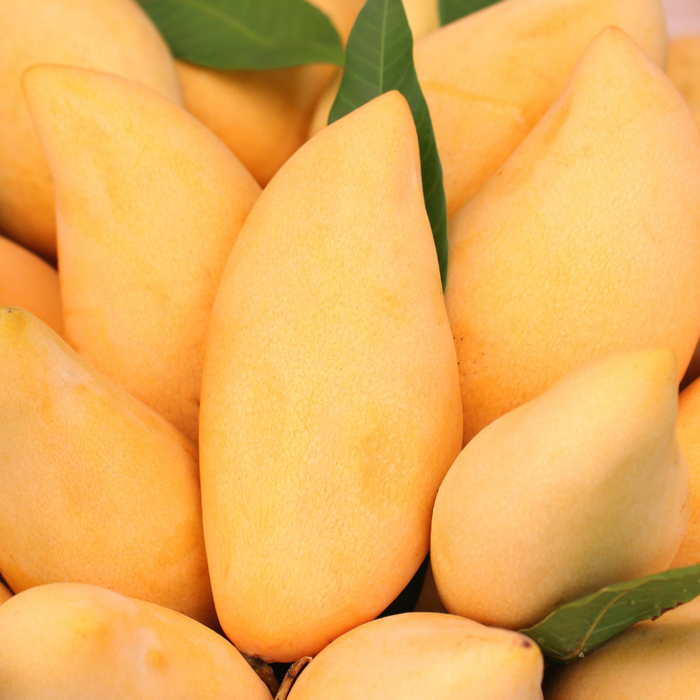 Kooky Freeze Dried Mango - Foodcraft Online Store