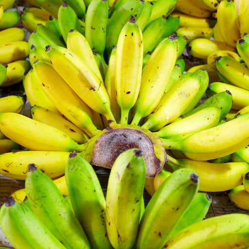Kooky Gently Dried Banana - Foodcraftr Online Store