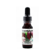 Medicine Flower Organic Light Chocolate Flavor Extract - 15ml - FoodCraft Online Store 