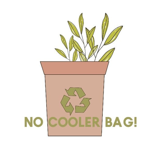 No Cooler Bags Please! - FoodCraft Online Store 