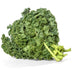 Organic Curly Kale 500g - FoodCraft Online Store