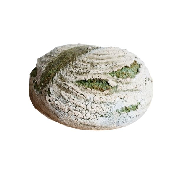 Organic Matcha Sourdough Bread - 1lb - FoodCraft Online Store 