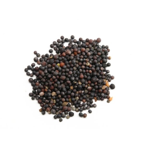 Organic Raw Whole Black Mustard Seeds - 227g - FoodCraft Online Store 