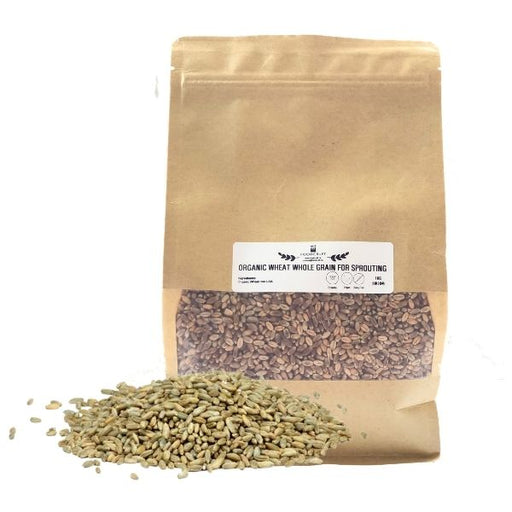 Organic Wheat Berries for Sprouting (Whole Grain) - 1kg - FoodCraft Online Store 