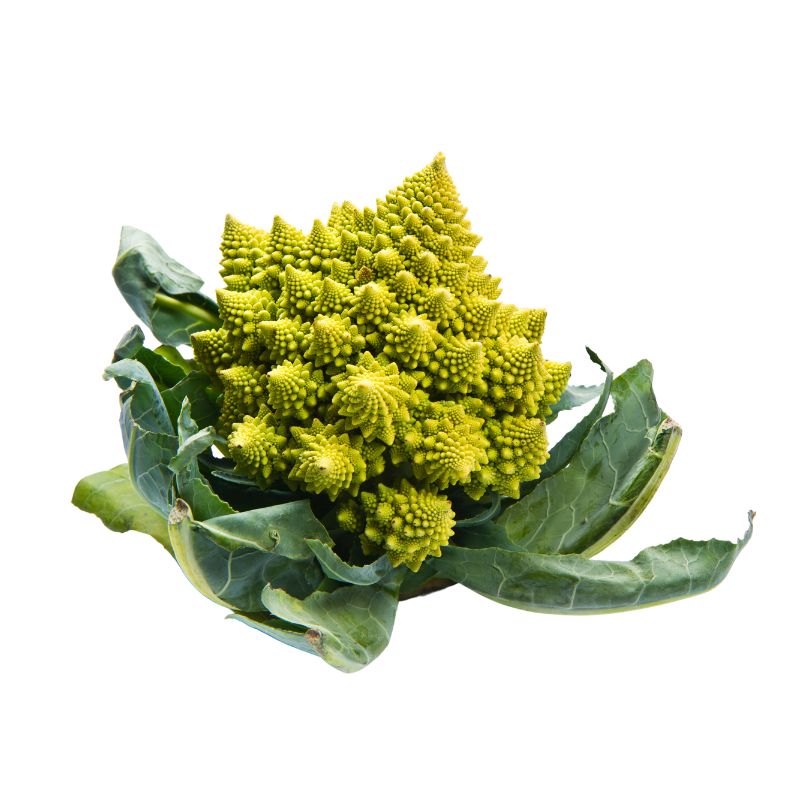 Romanesco - Foodcraft Online Store
