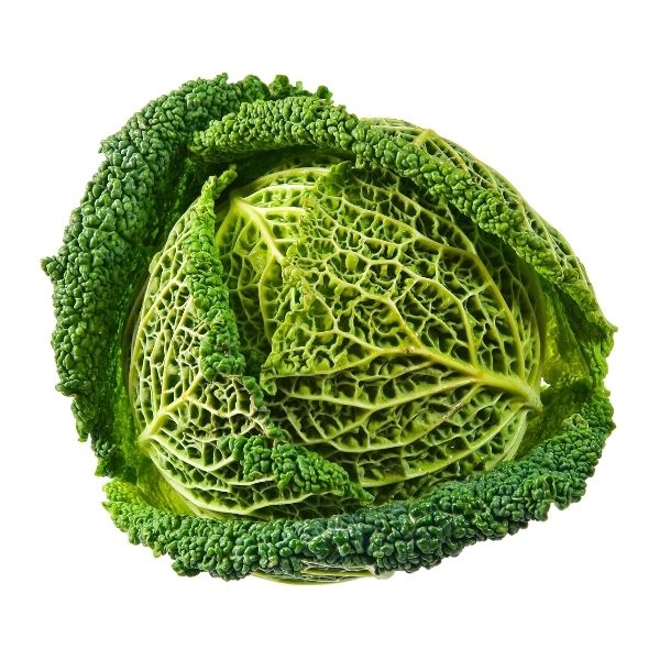 Savoy Cabbage (Curly Cabbage) 1piece (1 to 1.5kg)