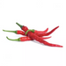 Veritable Essential Small Fruits & Vegetables - Cayenne Hot Chili Lingot® - FoodCraft Online Store 