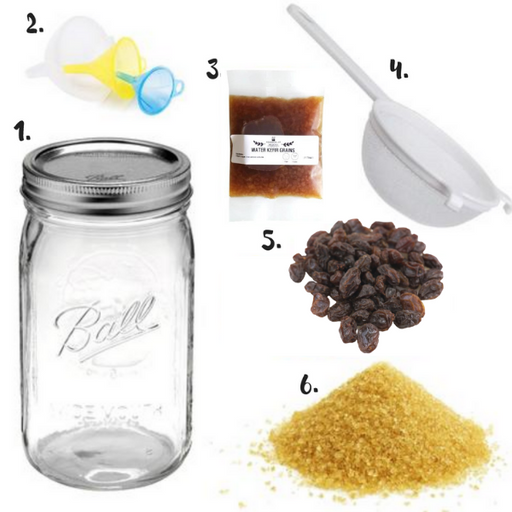 Water Kefir Kit with Mason Jar - FoodCraft Online Store 