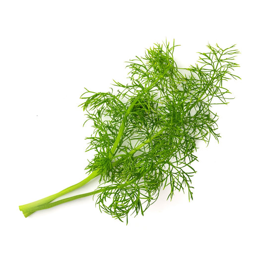 Veritable Essential Aromatic Herbs - Organic Fennel Lingot® - FoodCraft Online Store 