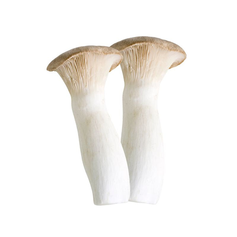 Eringi (Eryngii) Mushrooms 2pc — FoodCraft Online Store