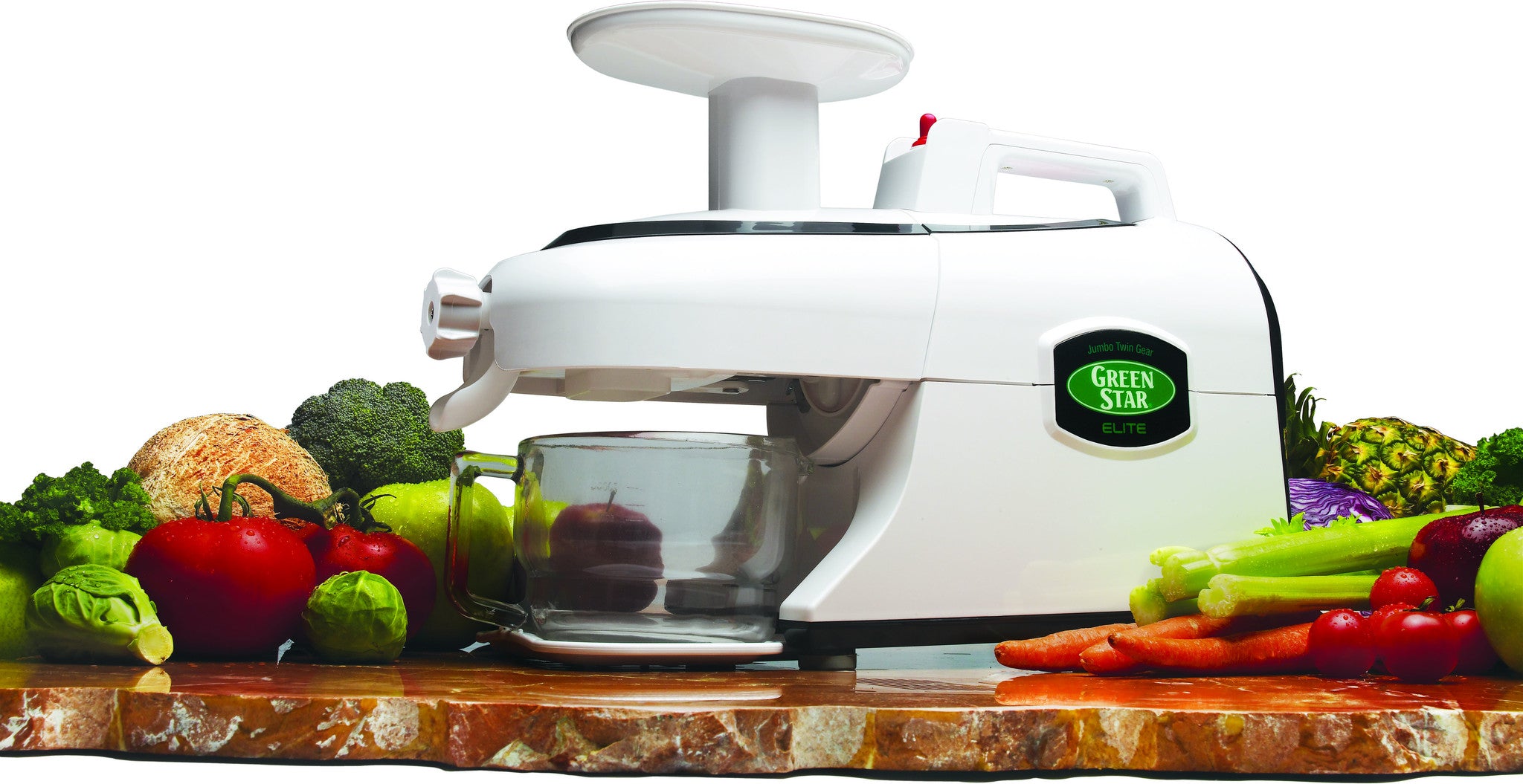 Tribest Greenstar Elite, GSE-5000 Jumbo Twin Gear Juicer