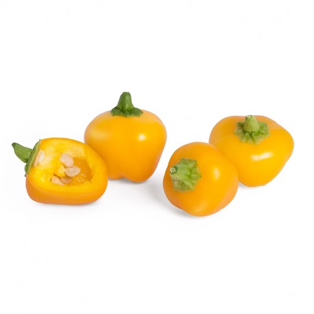 Veritable Essential Small Fruits & Vegetables - Mini Yellow Bell Pepper Lingot® - FoodCraft Online Store 
