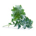Veritable Essential Greens - Organic Kale Lingot® - FoodCraft Online Store 