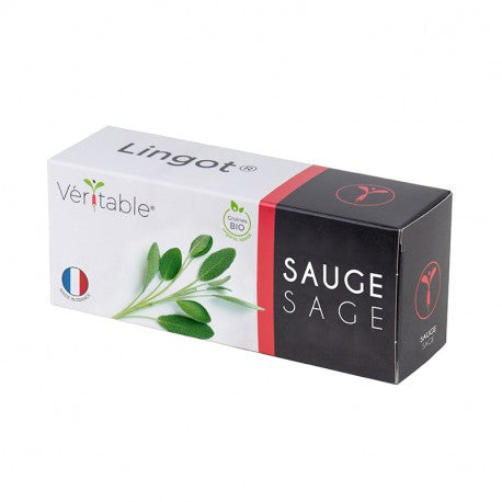 Veritable Essential Aromatic Herbs - Organic Sage Lingot® - FoodCraft Online Store 